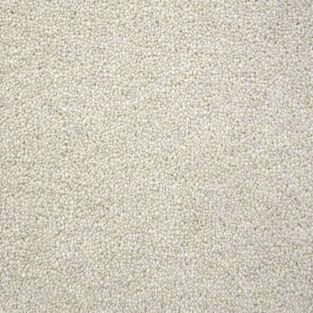 Winchester Deluxe Twist Carpet