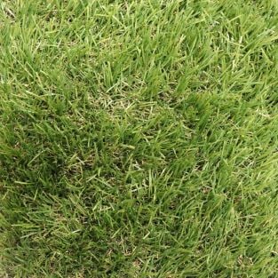 Augusta Artificial Grass