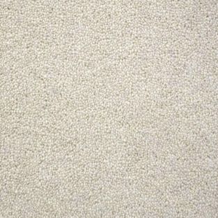 Winchester Deluxe Twist Carpet