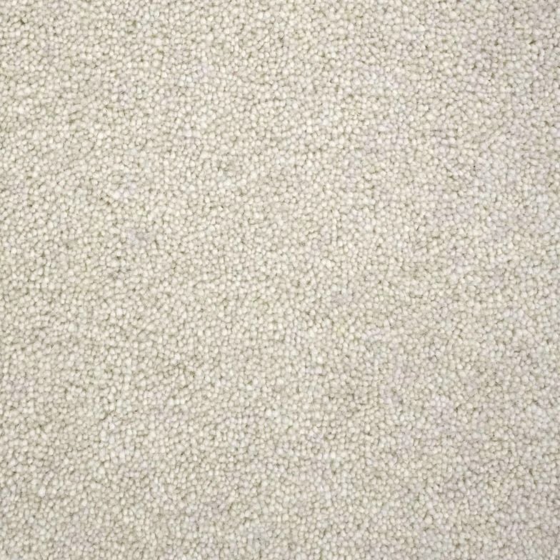 Winchester Elite Twist Carpet