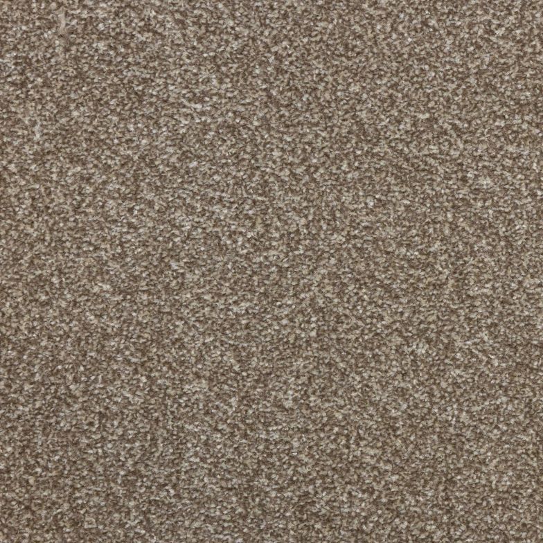 Macadamia Elite Twist Carpet