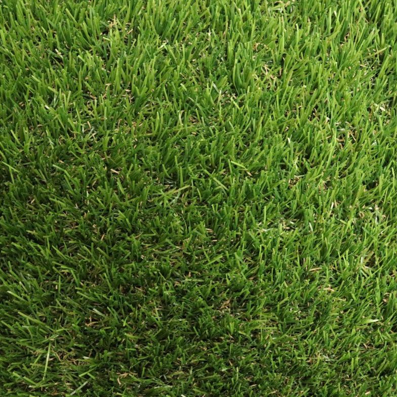 Merion Artificial Grass