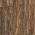 Harbour Oak