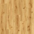 Golden Oak