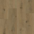 Harvest Oak
