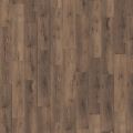 Vivero Dark