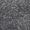 Iron