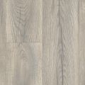 Coastal Oak