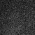 Charcoal