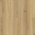 Elm Oak