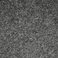 Polar Grey