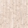Siberian Spruce