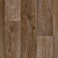 Chestnut Oak
