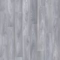 Frosted Silver Oak