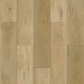 Beach Oak