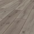 Century Oak Grey