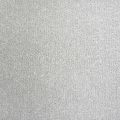 Snow Drift