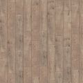 Chestnut Beige