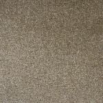 Montrose Twist Carpet