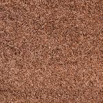 Cressida Saxony Carpet