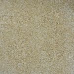 Harbour Grace Saxony Carpet