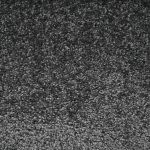 Cosmos Saxony Carpet