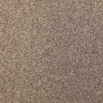 Cosmos Saxony Carpet