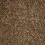 Cosmos Saxony Carpet