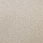 Cordelia Saxony Carpet