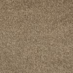 Duranta Velvet Carpet