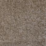 Cosmos Saxony Carpet