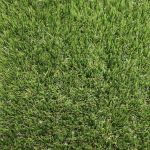 Cape Cabet Artificial Grass
