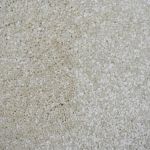 Princeton Saxony Carpet