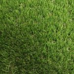 Merion Artificial Grass