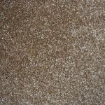 Princeton Saxony Carpet