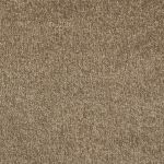 Duranta Velvet Carpet