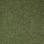 Winchester Elite Twist Carpet