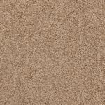 Cosmos Saxony Carpet