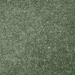 Duranta Velvet Carpet