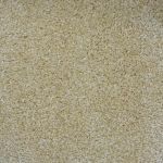 Harbour Grace Saxony Carpet