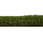 Oakmont Artificial Grass