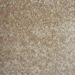 Princeton Saxony Carpet