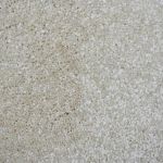 Princeton Saxony Carpet