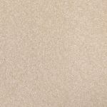 Harbour Grace Saxony Carpet